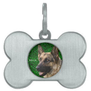 Gepersonaliseerde Dog Tags   Aangepaste huisdieren Huisdieren Naamplaatje