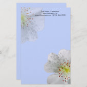 Gepersonaliseerde dubbele witte bloesem, lichtblau briefpapier (Voorkant / Achterkant)