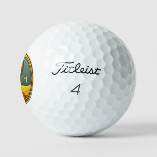 Gepersonaliseerde Duck Titleist Pro V1 golfballen (Logo)
