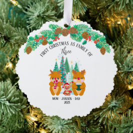 Gepersonaliseerde eerste kerst rendieren ornament kaart