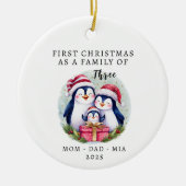 Gepersonaliseerde Eerste Kerstdag - Familie van Dr Keramisch Ornament (Voorkant)