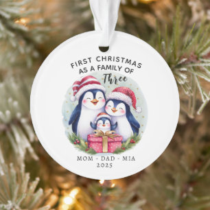 Gepersonaliseerde Eerste Kerstdag - Familie van Dr Ornament