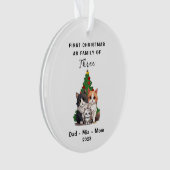 Gepersonaliseerde eerste Kerstmis als familie van  Ornament (voorkant)