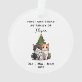 Gepersonaliseerde eerste Kerstmis als familie van  Ornament