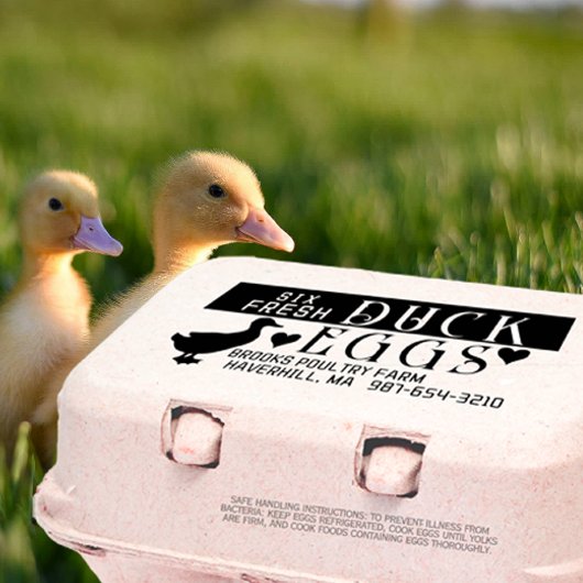 GEPERSONALISEERDE EI KARTON Verse Eend Eieren & Ha Rubberstempel