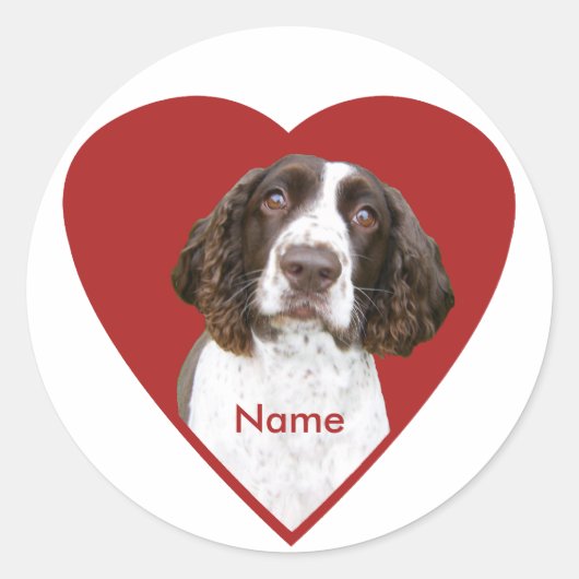 Gepersonaliseerde Engelse Springer Spaniel Sticker (Voorkant)