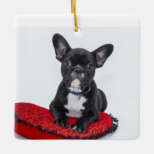 Gepersonaliseerde familie Acryl Keepsake Ornament (Voorkant)