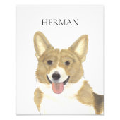 Gepersonaliseerde Fawn en White Corgi Art Foto Afdruk (Voorkant)