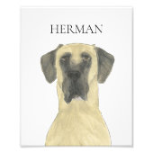 Gepersonaliseerde Fawn gemaskerde Grote Dane Dog A Foto Afdruk (Voorkant)