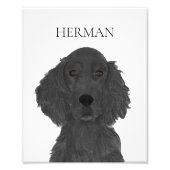 Gepersonaliseerde Flat Coated Retriever Art Foto Afdruk (Voorkant)
