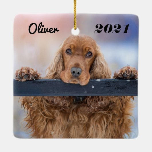 Gepersonaliseerde fluffy Brown Cocker Spaniel Dog Keramisch Ornament (Achterkant)