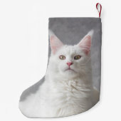 Gepersonaliseerde fluffy White Maine Coon Cat Kleine Kerstsok (Achterkant)