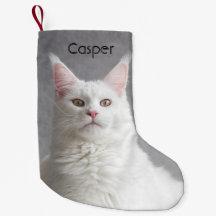 Gepersonaliseerde fluffy White Maine Coon Cat