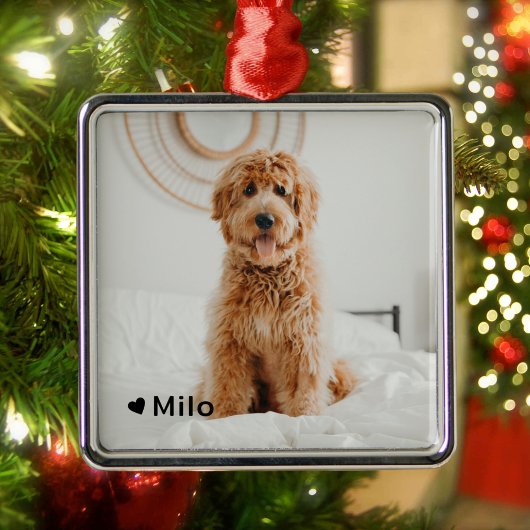 Gepersonaliseerde foto en naam Pet Metalen Ornament