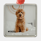 Gepersonaliseerde foto en naam Pet Metalen Ornament (Voorkant)