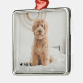 Gepersonaliseerde foto en naam Pet Metalen Ornament (Links)
