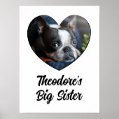 Gepersonaliseerde foto hond grote zus poster (Voorkant)