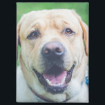 Gepersonaliseerde foto of kunst magneet<br><div class="desc">Gepersonaliseerde magneet van Ricaso - voeg uw eigen gepersonaliseerde foto of kunstwerk toe,  voeg tekst toe met behulp van de ontwerptool,  geweldige ideeën voor fotocadeaus en persoonlijke herinneringen</div>