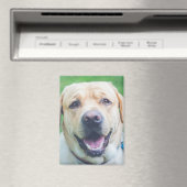 Gepersonaliseerde foto of kunst magneet (Insitu (Vaatwasser))