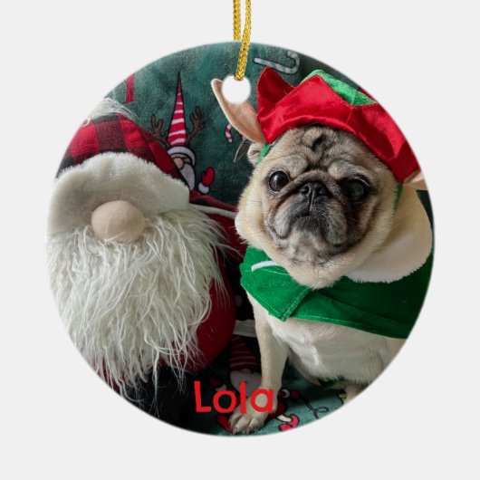 Gepersonaliseerde foto Pet Memorial Ornament (Voorkant)