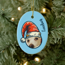 Gepersonaliseerde foto Santa Pet Custom
