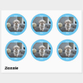 Gepersonaliseerde Foto Twee lijnen Tekst Aangepast Ronde Sticker (Vel)