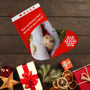 Gepersonaliseerde foto van huisdierhamster met de grote kerstsok