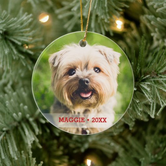 Gepersonaliseerde foto van Pet met dubbelzijdige k Keramisch Ornament (Boom)