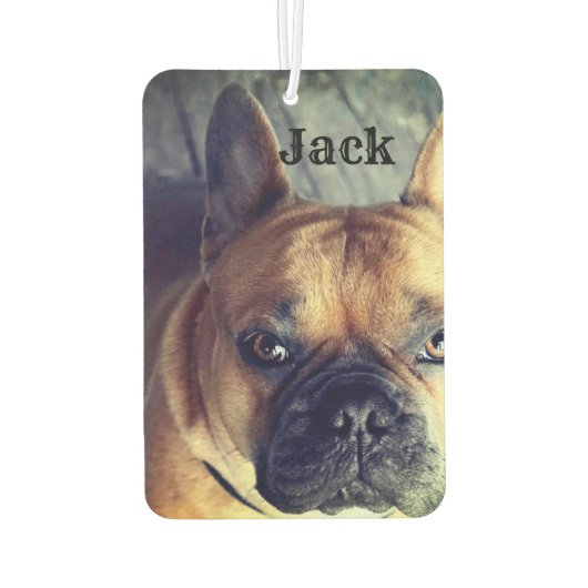 Gepersonaliseerde fotonaam Schattige hondenhuisdie Luchtverfrisser (Achterkant)