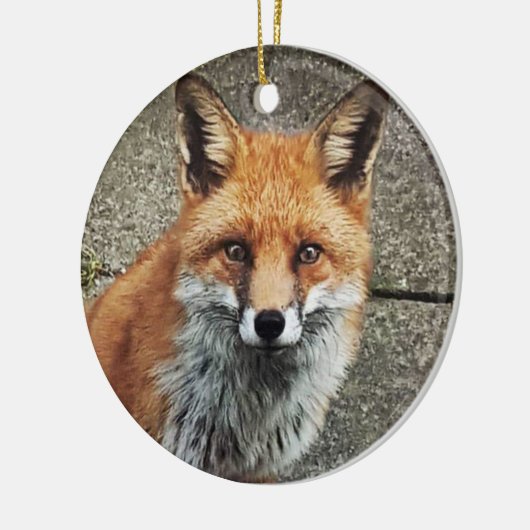 gepersonaliseerde fox keramisch ornament (Links)