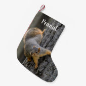 Gepersonaliseerde Fox Squirrel op een boom Kleine Kerstsok (Voorkant (Hangend))