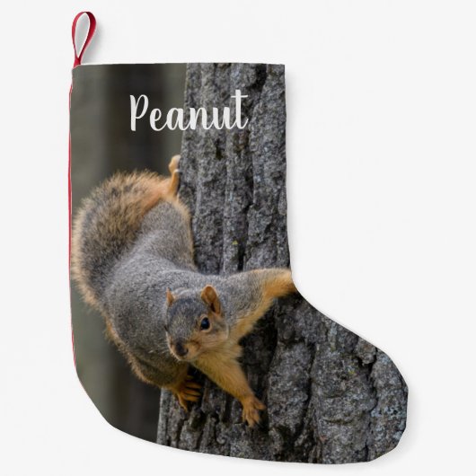 Gepersonaliseerde Fox Squirrel op een boom Kleine Kerstsok (Voorkant)