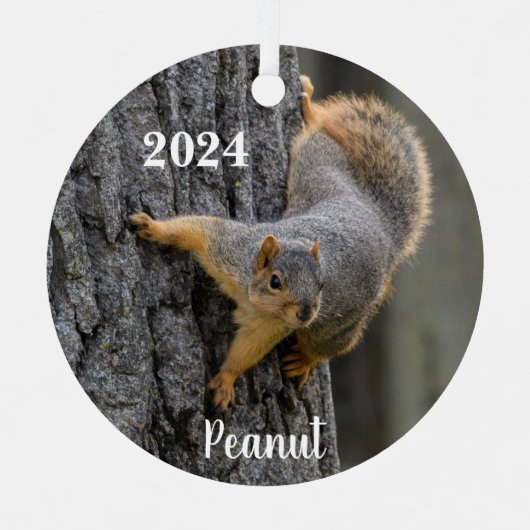 Gepersonaliseerde Fox Squirrel op een boom Metalen Ornament (Voorkant)