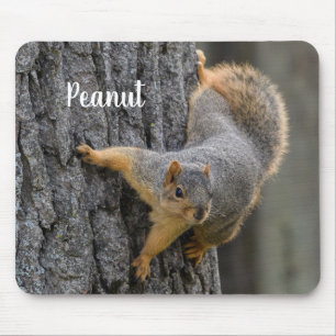 Gepersonaliseerde Fox Squirrel op een boom Muismat