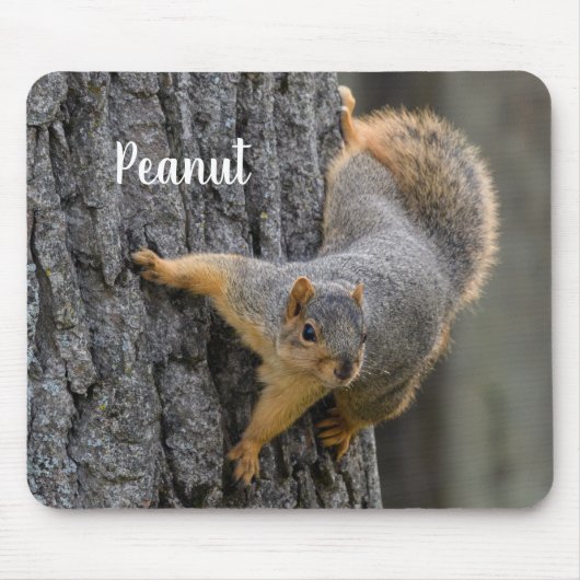 Gepersonaliseerde Fox Squirrel op een boom Muismat (Voorkant)