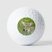 Gepersonaliseerde Fun Coyote Dier Golfballen (Voorkant)