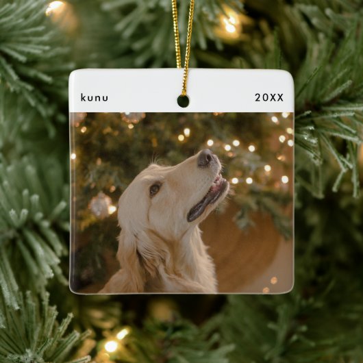 Gepersonaliseerde Funny Dog Afbeelding Christmas F Keramisch Ornament (Boom)