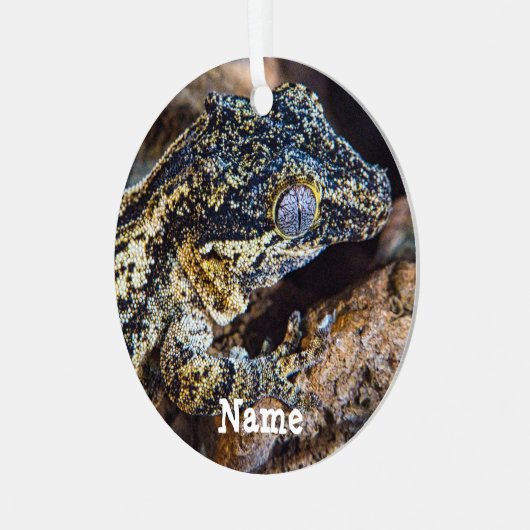 Gepersonaliseerde Gargoyle Gecko Pet Lizard Metalen Ornament (Voorkant links)