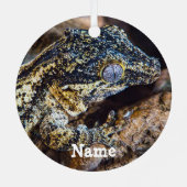 Gepersonaliseerde Gargoyle Gecko Pet Lizard Metalen Ornament (Achterkant)