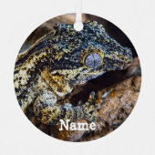 Gepersonaliseerde Gargoyle Gecko Pet Lizard Metalen Ornament (Voorkant)