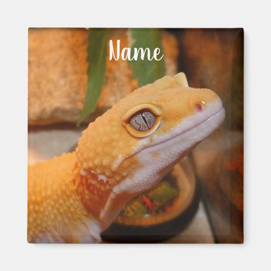 Gepersonaliseerde Gele luipaard Gecko Lizard Magneet (Voorkant)