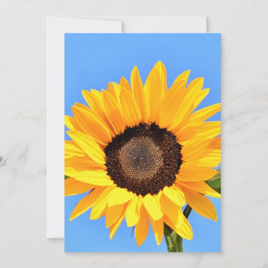 Gepersonaliseerde gele zonnebloem Kaart aangepaste (Achterkant)