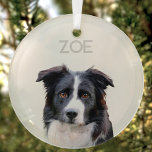 Gepersonaliseerde Glass Pet Christmas Tree Ornamen Glas Ornament<br><div class="desc">Personaliseer dit ronde glazen vakantie ornament met de naam en foto van uw huisdier gemakkelijk met deze eenvoudige moderne sjabloon. Als je hulp nodig hebt bij het verwijderen van de achtergrond van je favoriete afbeelding,  download dan gewoon een AI-achtergrondverwijderaar-app op je mobiele apparaat.</div>