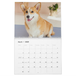 Gepersonaliseerde Grappige Corgi Hond Pet Fotokale Kalender