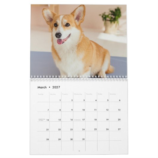 Gepersonaliseerde Grappige Corgi Hond Pet Fotokale Kalender (Mar 2027)