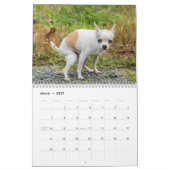 Gepersonaliseerde Grappige Honden Pooping Kalender (Mar 2027)