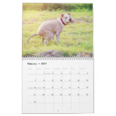 Gepersonaliseerde Grappige Honden Pooping Kalender (Feb 2027)