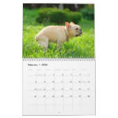 Gepersonaliseerde Grappige Honden Pooping Kalender (Feb 2026)