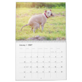 Gepersonaliseerde Grappige Honden Pooping Kalender (Jan 2027)