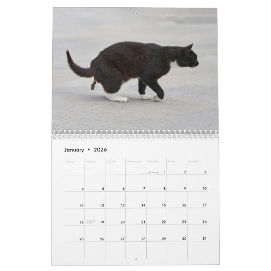 Gepersonaliseerde Grappige Katten Pooping Kalender (Jan 2026)